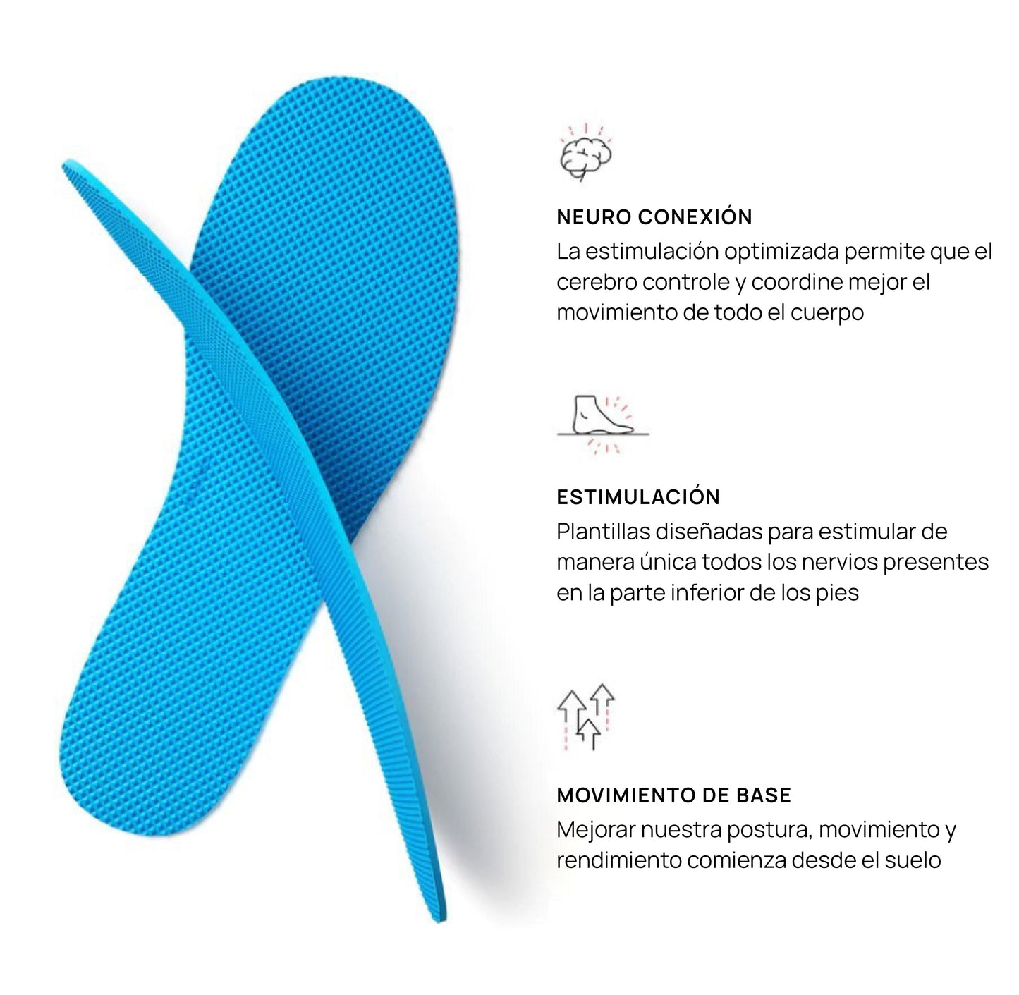 PLANTILLA DE ACTIVACIÓN SENSORIAL